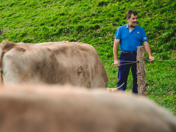 farmer with cows