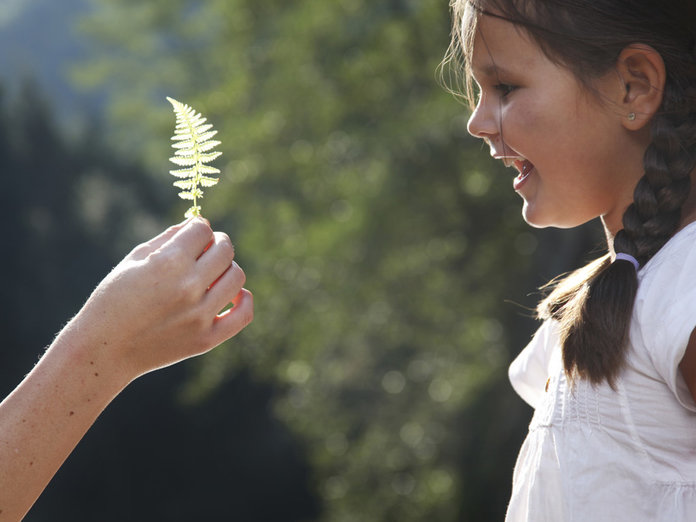 Orona's groene oplossing